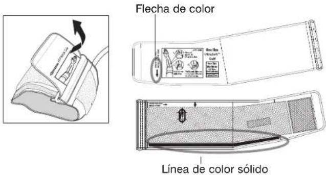 Flecha de color Linea de color sólido