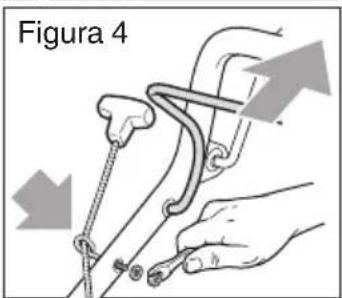 Figura 4