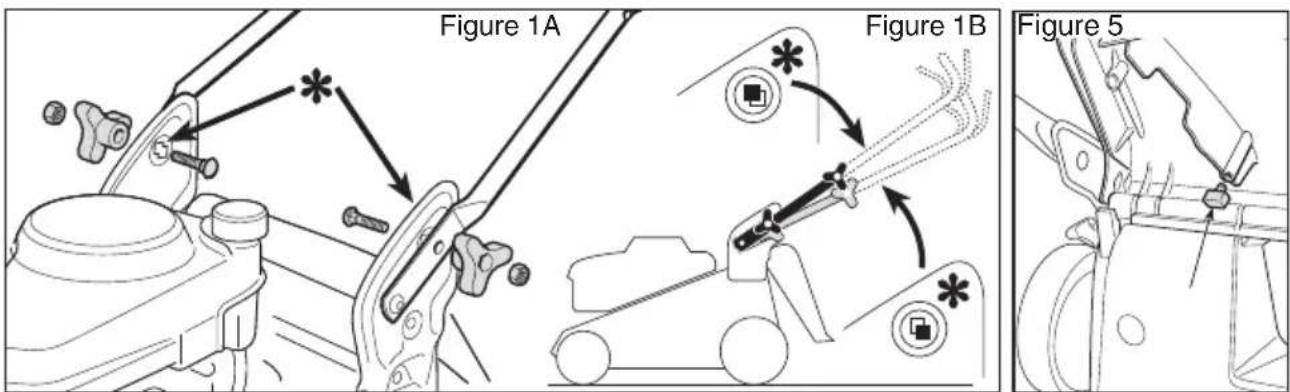 Figure 1A Figure 1B Figure 5