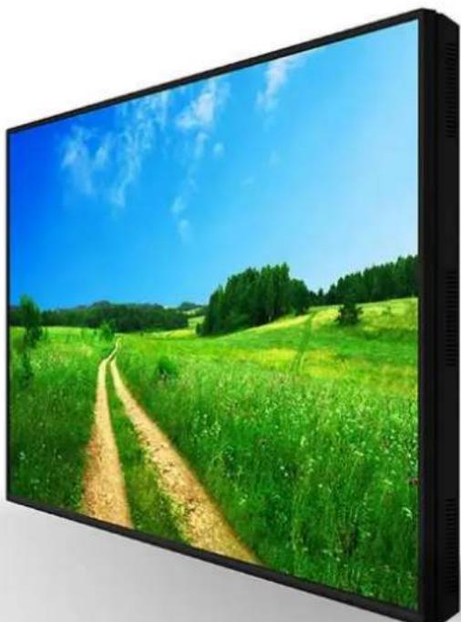 Allsee M55P4-B2 - Professional LED Video Monitor - 1