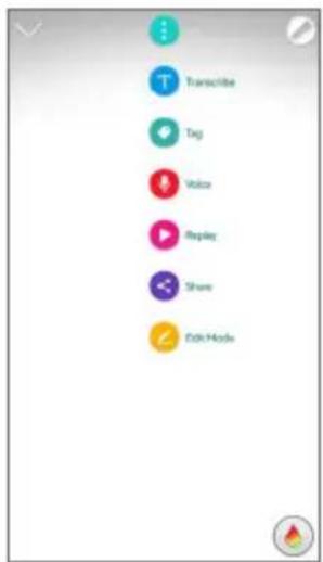 Transcribe Tag Voice Replay Share Edit Mode