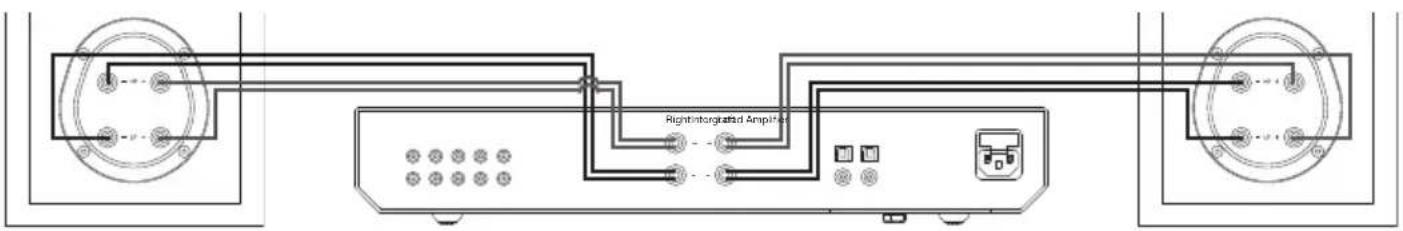 RightIntergenatid Amplified