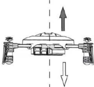 ACME zoopa Q155 roonin - Right / Left - 2