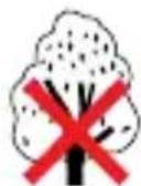 IMOU Ranger IQ - i Suggerimenti - 3