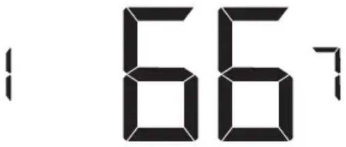 667