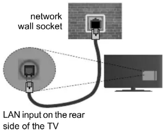 network wall socket LAN input on the rear side of the TV