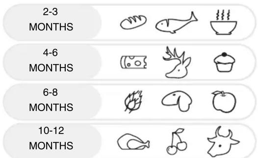 2-3 MONTHS 4-6 MONTHS 6-8 MONTHS 10-12 MONTHS