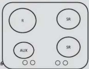 R SR AUX SR