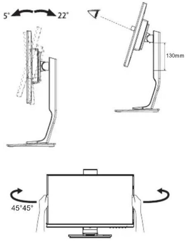 IIYAMA ProLite B2283HS-B5 - ADJUSTING THE HEIGHT AND THE VIEWING ANGLE : ProLite B2282HS - 1
