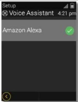Setup Voice Assistant 4:21 pm Amazon Alexa