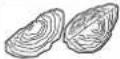 PANASONIC MK-F300 - FOOD PROCESSOR - SLICING BLADES · SHREDDING BLADES - - 8
