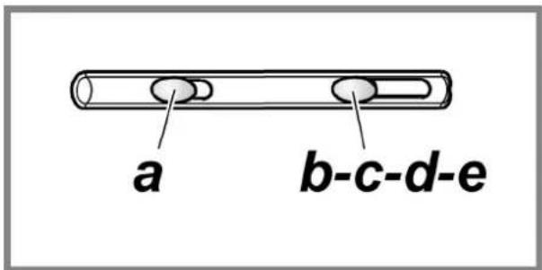 a b-c-d-e