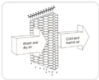 Warm and dry air Cold and humid air