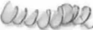 CUISINART SPI-50 - Cutting Cones - 12