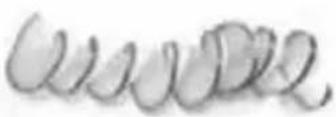 CUISINART SPI-50 - Cepillo de limpieza - 12