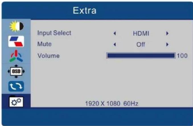 Extra Input Select HDMI Mute Off Volume 100 1920 X 1080 60Hz