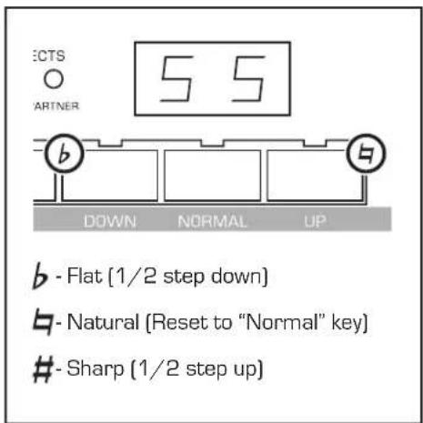 ECTS ○ ARTNER 55 b DOWN NORMAL UP flat [1/2 step down] natural [Reset to "Normal" key] sharp [1/2 step up]