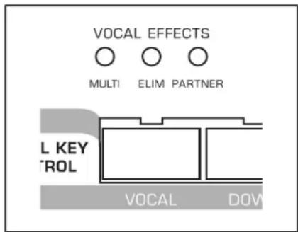 VOCAL EFFECTS MULTI ELIM PARTNER L KEY TROL VOCAL DOW