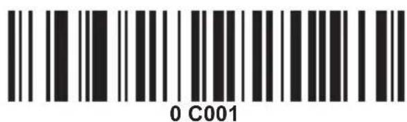 0 C001
