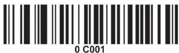0 C001