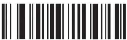 Barcode image containing machine-readable data, with vertical black bars on both sides and no visible text or symbols.