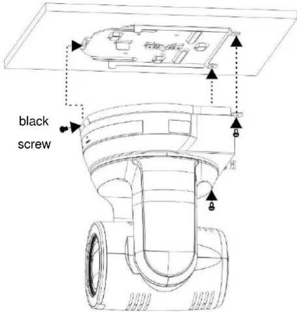black screw