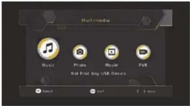 Multimedia Music Photo Movie FVR Not Find Any USB Device Select EXIT > Have