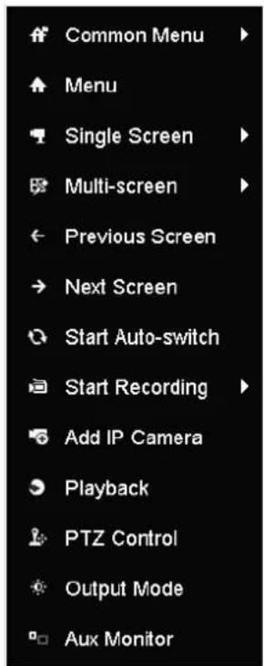 Common Menu Menu Single Screen Multi-screen Previous Screen Next Screen Start Auto-switch Start Recording Add IP Camera Playback PTZ Control Output Mode Aux Monitor