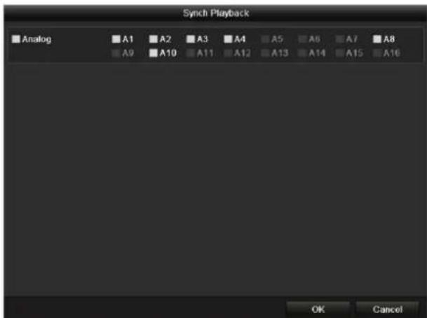 Synch Playback Analog A1 A2 A3 A4 A5 A6 A7 A8 A9 A10 A11 A12 A13 A14 A15 A16 OK Cancel