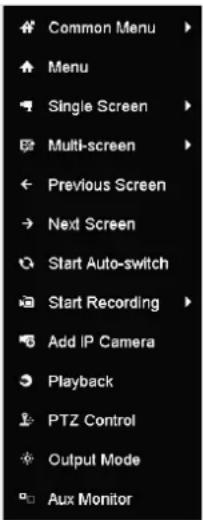 Common Menu Menu Single Screen Multi-screen Previous Screen Next Screen Start Auto-switch Start Recording Add IP Camera Playback PTZ Control Output Mode Aux Monitor