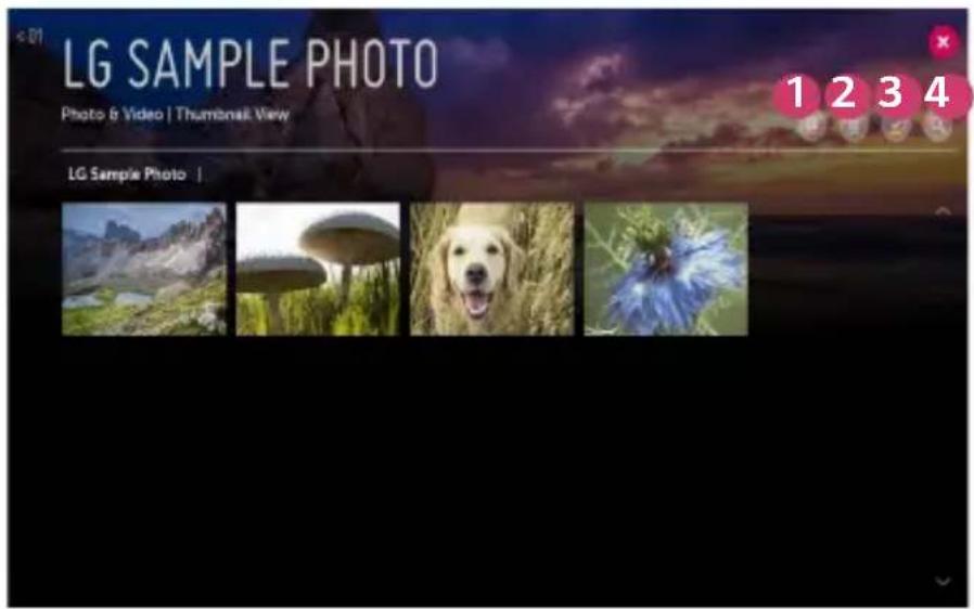 LG SAMPLE PHOTO Photo & Video | Thumbnail View LG Sample Photo | 1 2 3 4