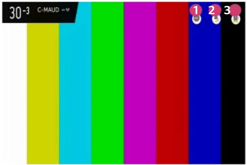 30-3 C-MAUD 1 2 3