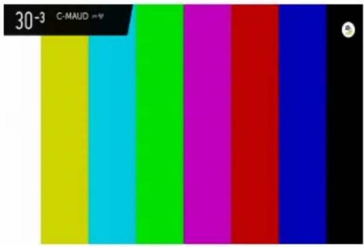 30-3 C-MAUD