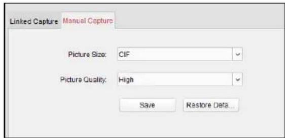 Linked Capture Manual Capture Picture Size: CIF Picture Quality: High Save Restore Data...