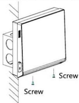 Screw Screw