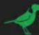 BirdDog Flex 4K - bird-dog.tv/firmware-updates - 2