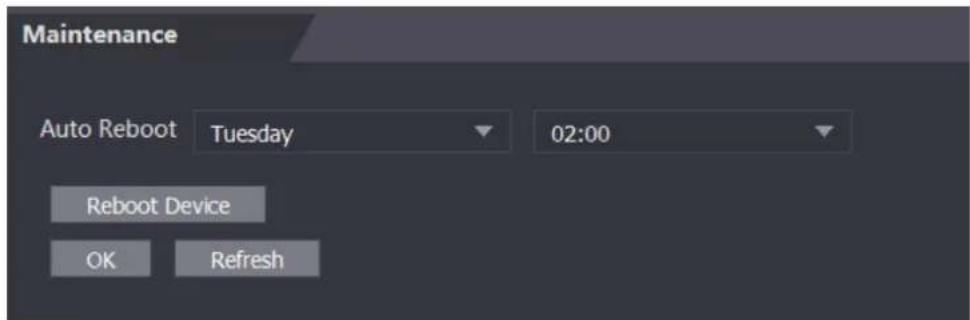 Maintenance Auto Reboot Tuesday 02:00 Reboot Device OK Refresh