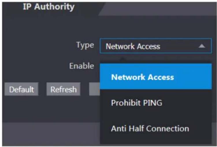 IP Authority Type Network Access Enable Default Refresh Network Access Prohibit PING Anti Half Connection