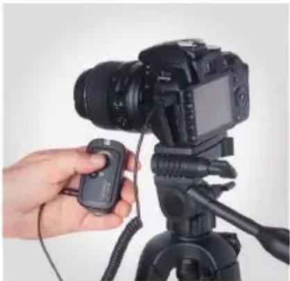 Vello FreeWave Plus - SINGLE SHOTS | WIRED - 1