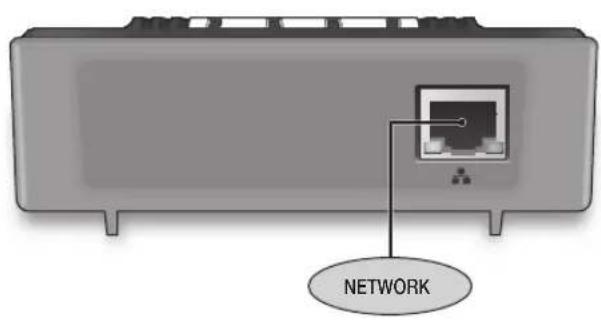 NETWORK