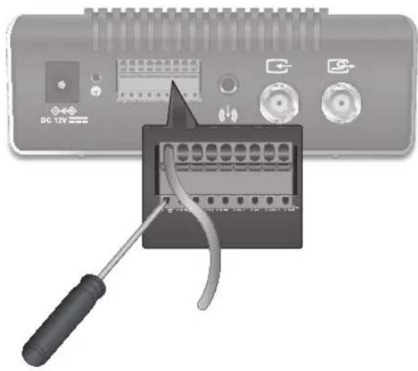 Pelco NET5500 - Connecting the terminal block - 1
