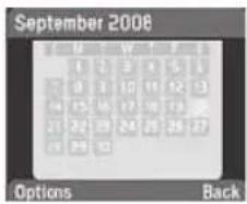 September 2008 Options Back