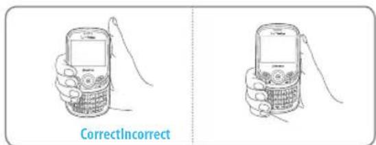 CorrectIncorrect