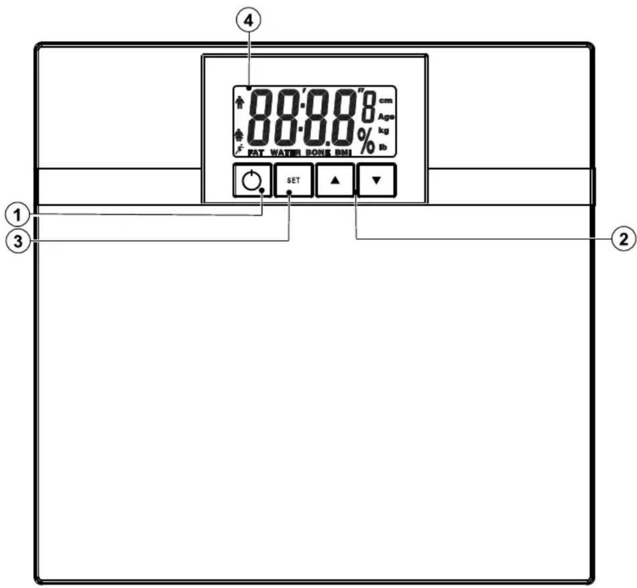 88.0"8 cm Age kg FAT WATER BONE BMI % lb ① ② ③ ④