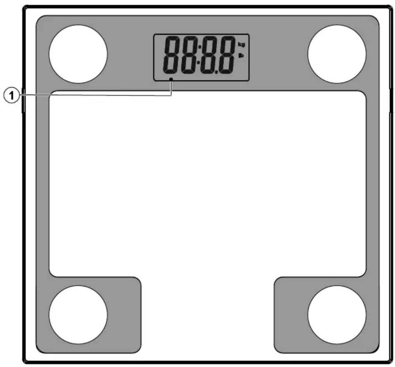 88:00 kg 00:00 b ①