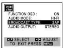 SANYO DVW-7000 - SAP (Second Audio Program) Recording - 1