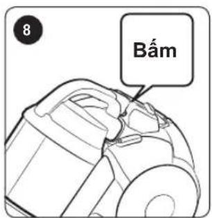 Bám 8