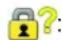 BLACKBERRY Pearl Flip 8230 - Encryption status indicators - 2