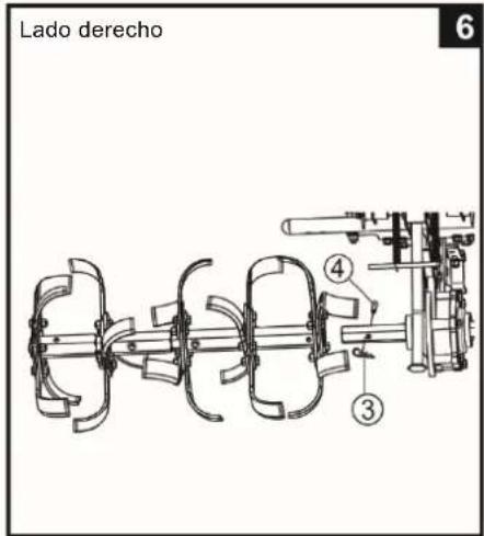 Lado derecho 6 ④ ③