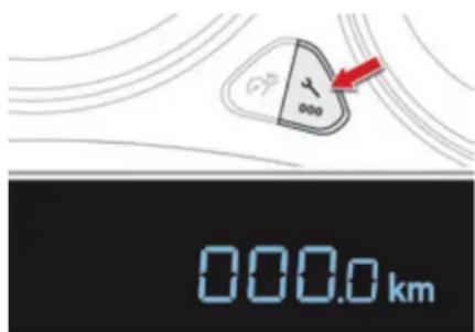 000.0 km